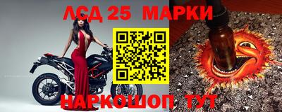 спайс Краснодар
